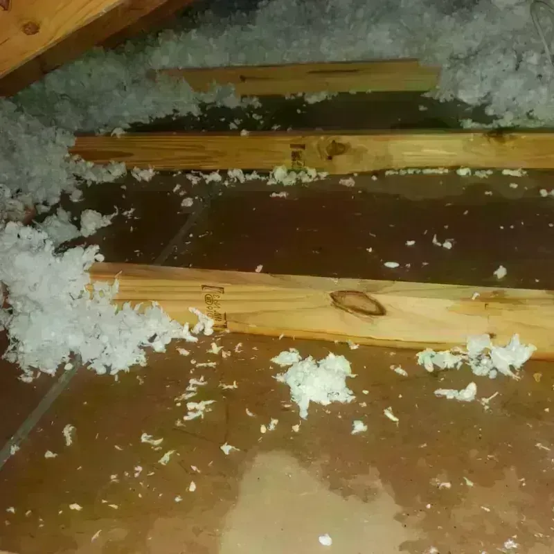 Attic Water Damage in Lockhart, TX